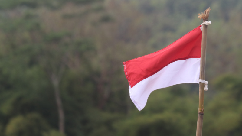 Bahasa Indonesia Hari Ini: Bagaimana Seharusnya Kita Berperan?